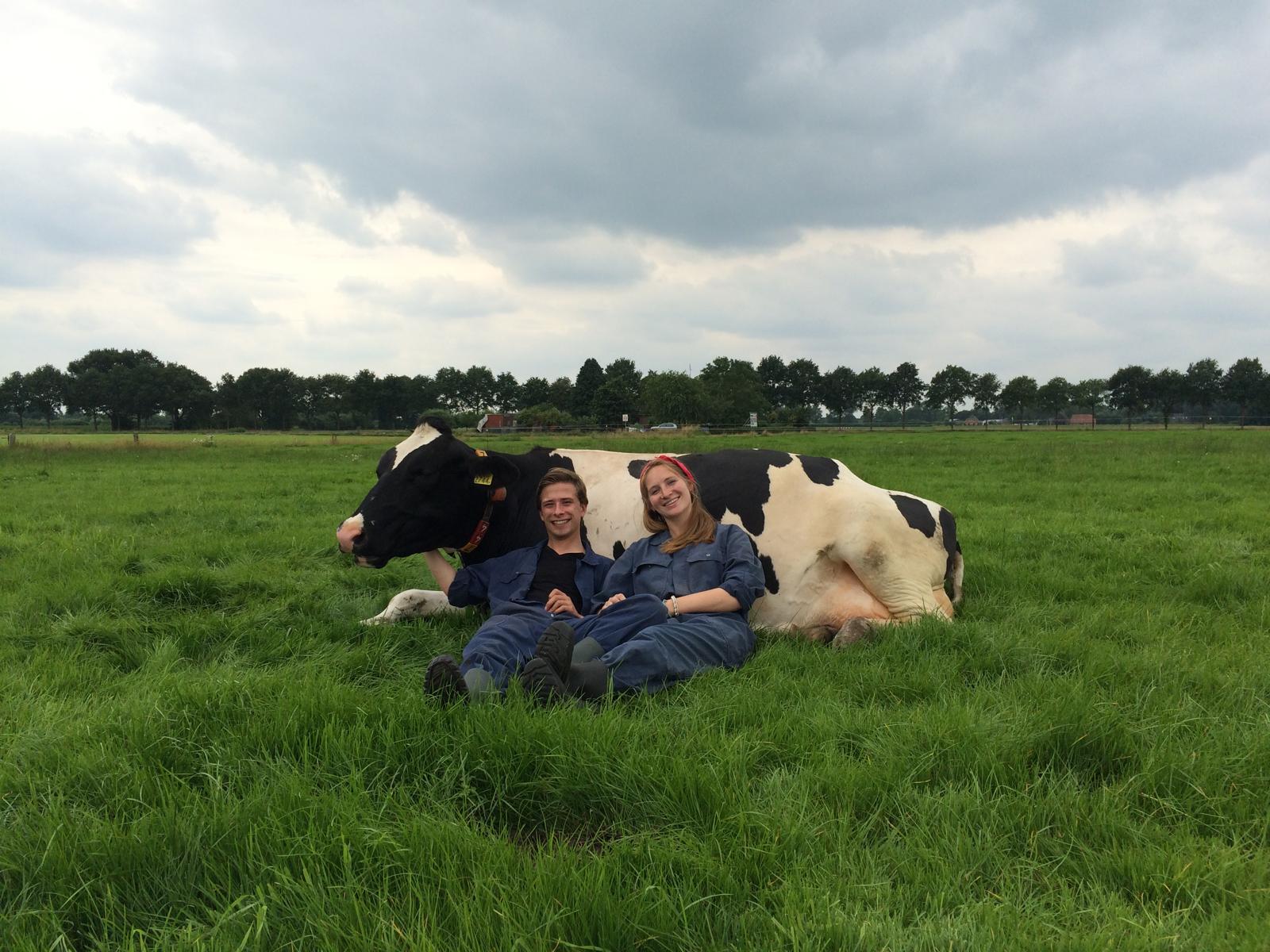 Bodine & Felix — Hollandser kan niet